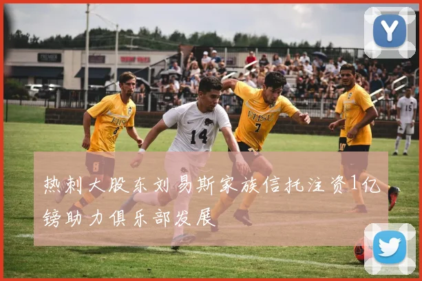 热刺大股东刘易斯家族信托注资1亿镑助力俱乐部发展