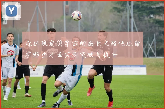 森林狼爱德华兹的成长之路他还能在哪些方面实现突破与提升