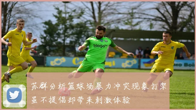 苏群分析篮球场暴力冲突现象打架虽不提倡却带来刺激体验