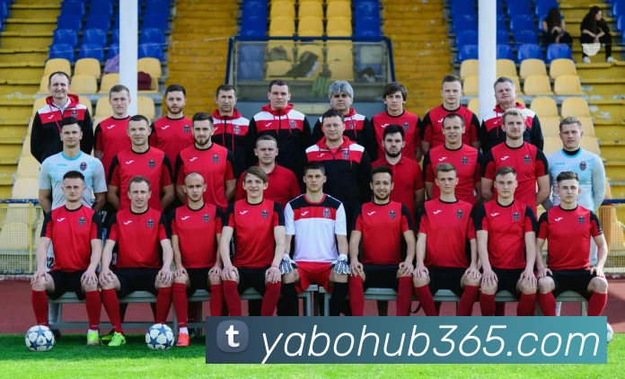 开拓者媒体人称批评杨瀚森不公因与科沃德奎因比较不当